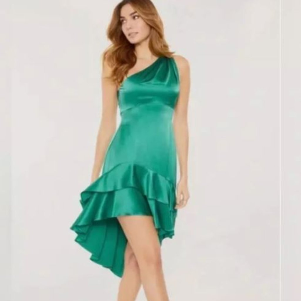 Brand New With Tags Retails For 495 100 Silk You Are Looking At A Beautiful
